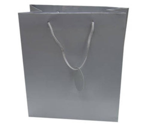 Giftbag Medium Solid Colour Silver