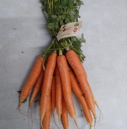 So Sweet Baby Carrots Bunch