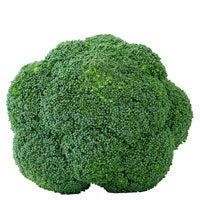 Broccoli Head