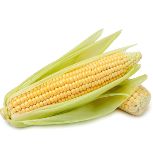 Fresh Local Sweetcorn each